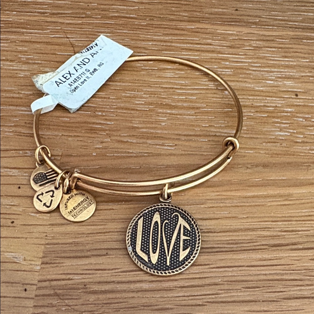Alex and Ani Gold Love Charm Bangle